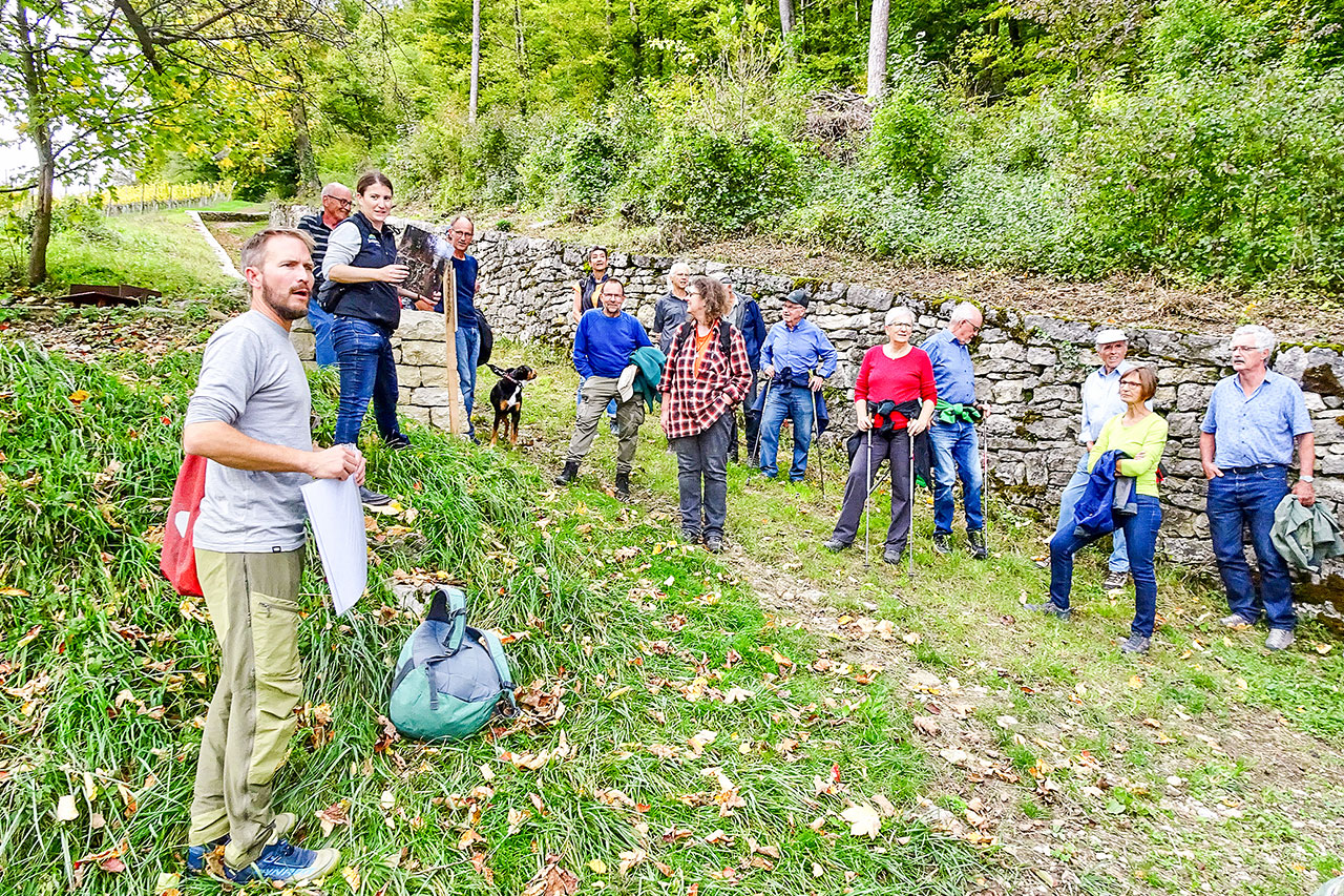 thumbnail: schlangen-voegel-und-marienkaefer