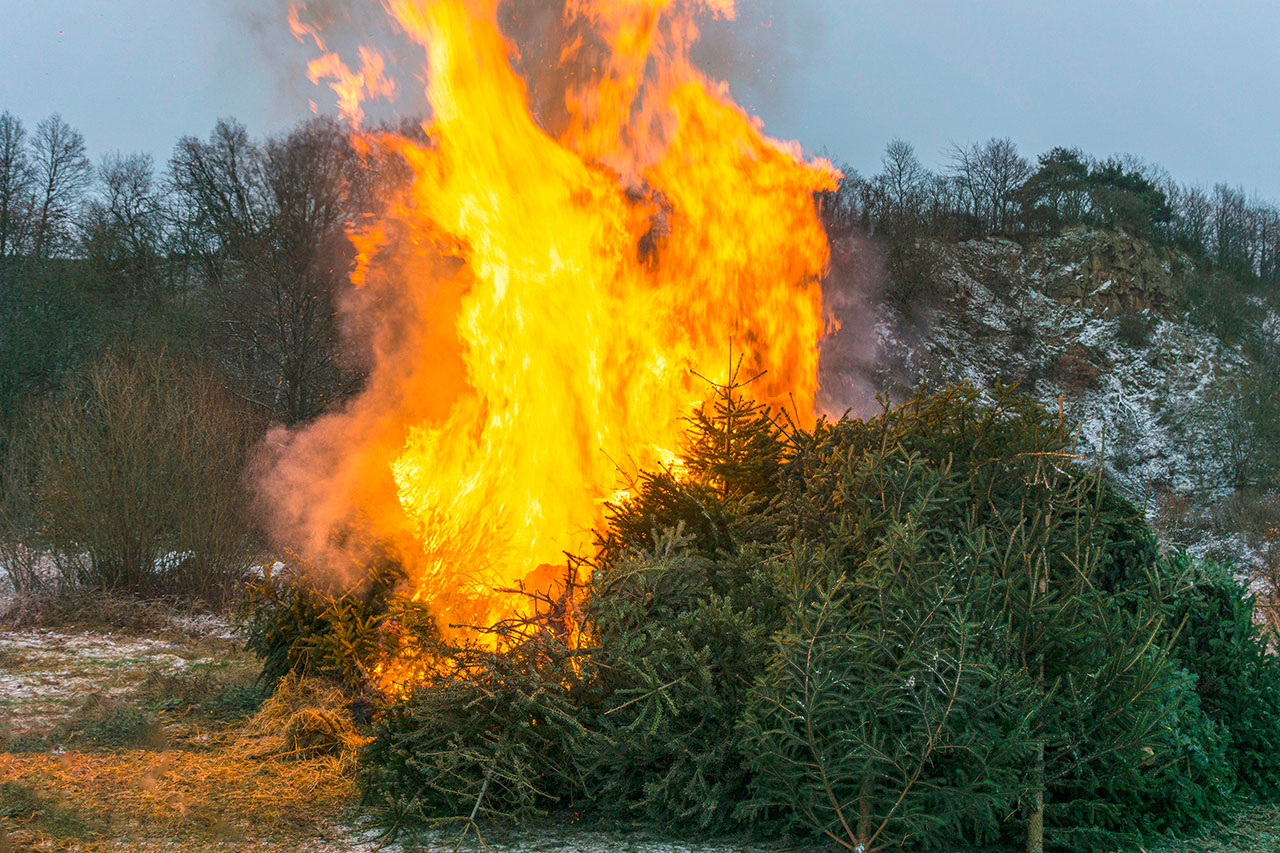 thumbnail: gemeinsam-den-baum-anzuenden