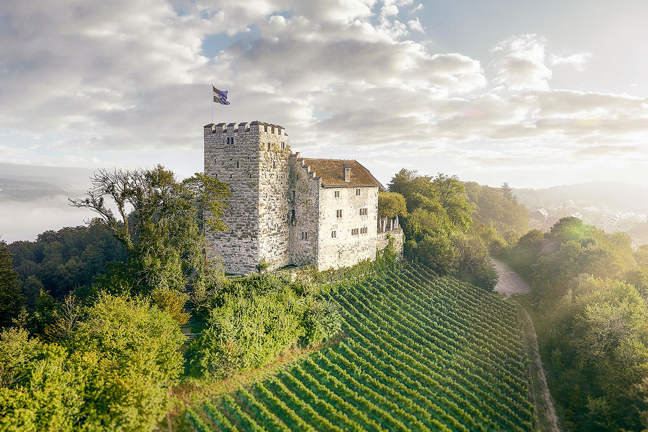 thumbnail: die-habsburger-dynastie-lebt-wieder-auf