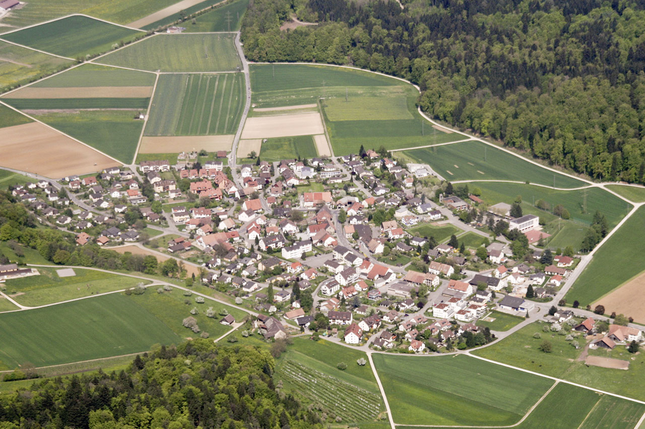 thumbnail: projektumfrage-riniken-2025