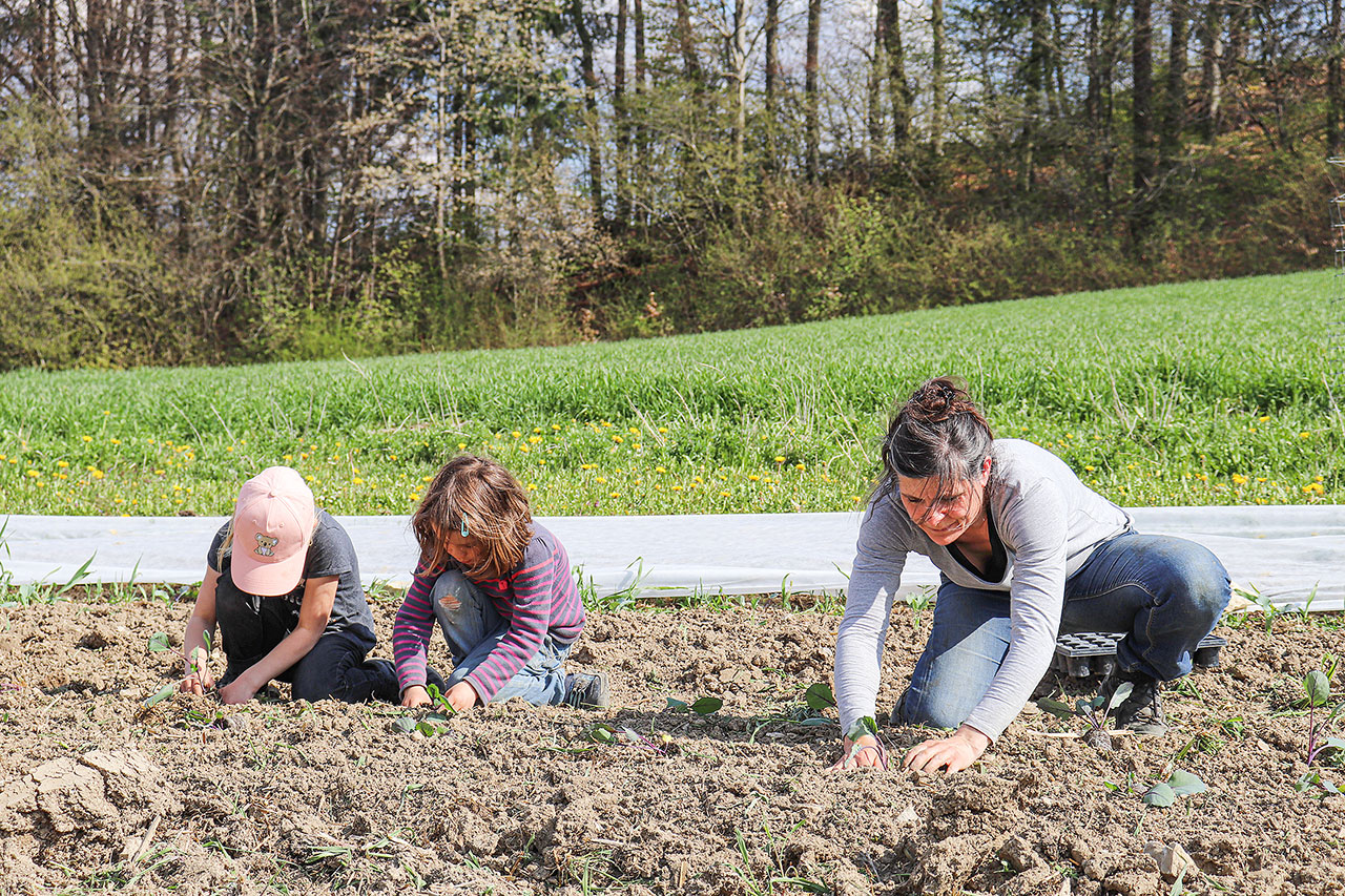 thumbnail: fruehlingssuppe-auf-dem-geisshof