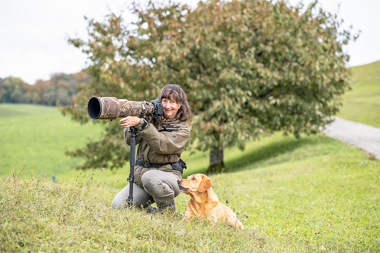 thumbnail: mit-der-kamera-auf-der-pirsch