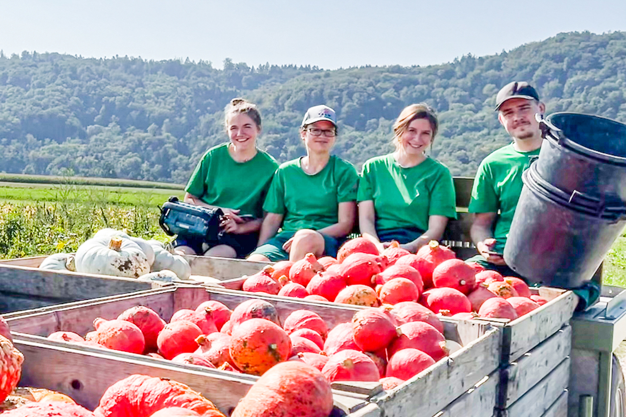 thumbnail: grauer-ungar-ufo-und-spaghetti