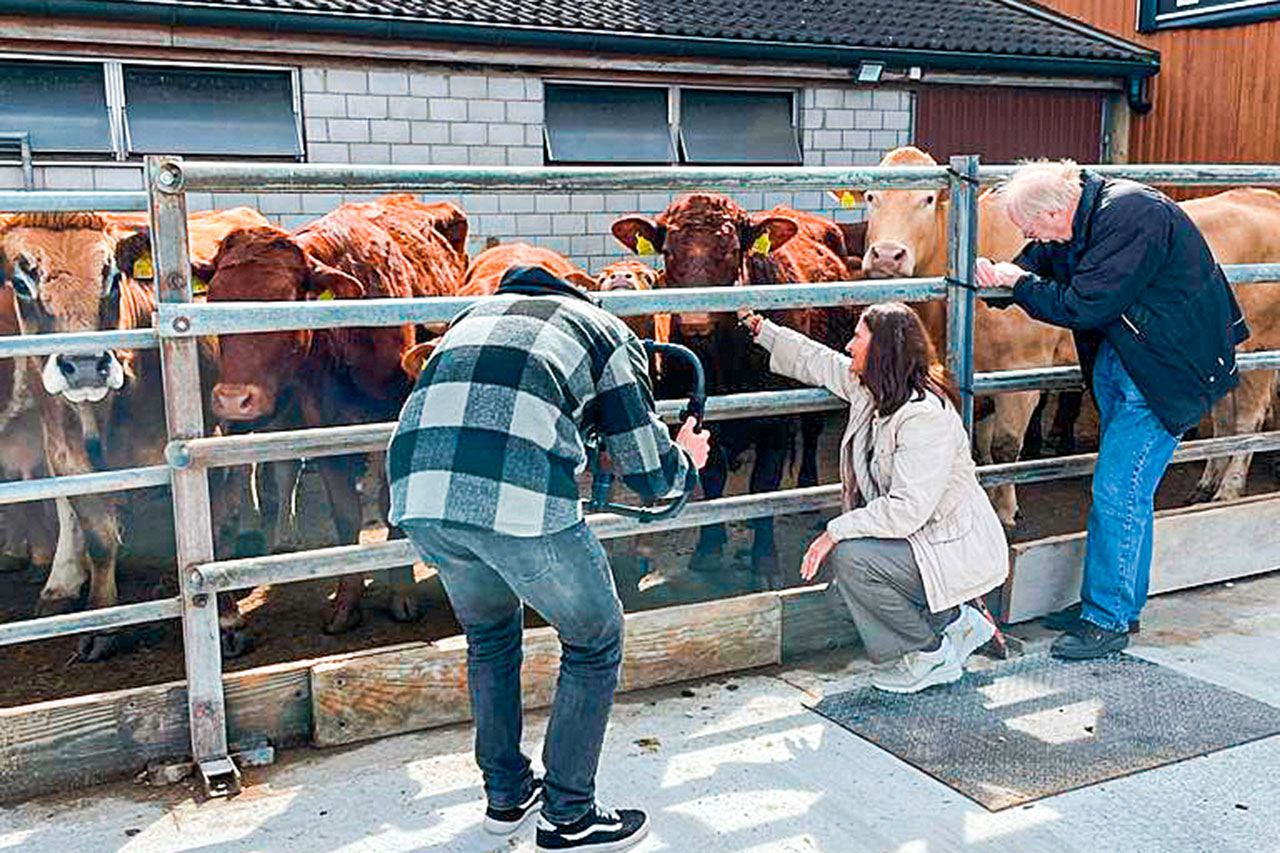 thumbnail: ein-dorf-in-405-minuten-erklaert