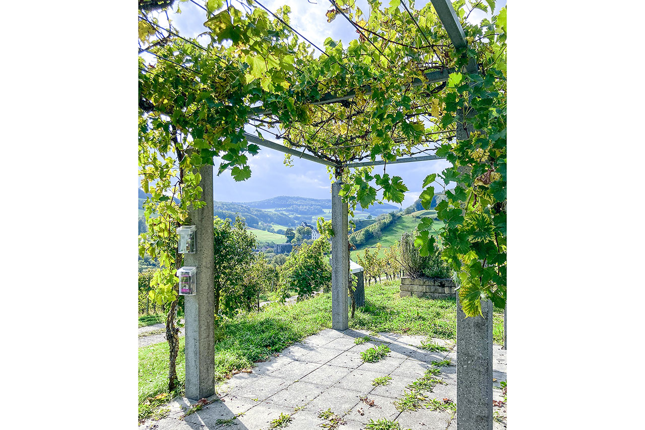 thumbnail: im-rausch-der-sauserfreinaechte