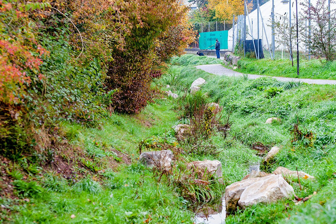 thumbnail: projekt-mit-grossem-mehrwert