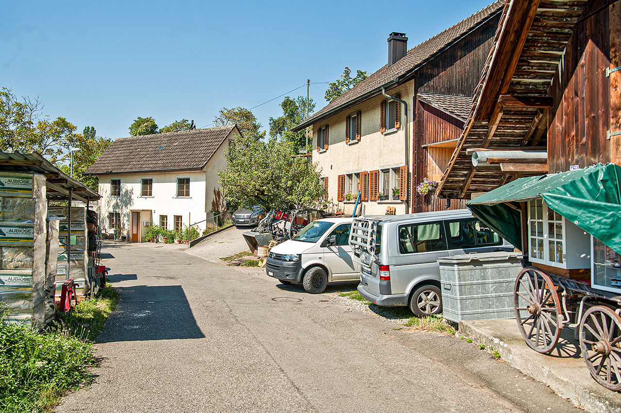 thumbnail: zankapfel-tiertherapiehof