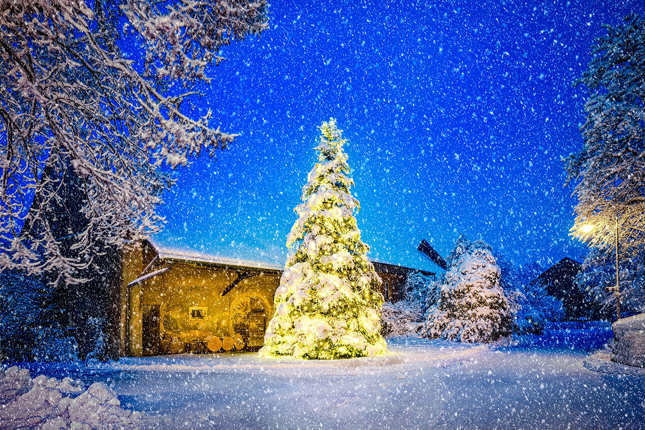 thumbnail: strahlender-linner-weihnachtsbaum