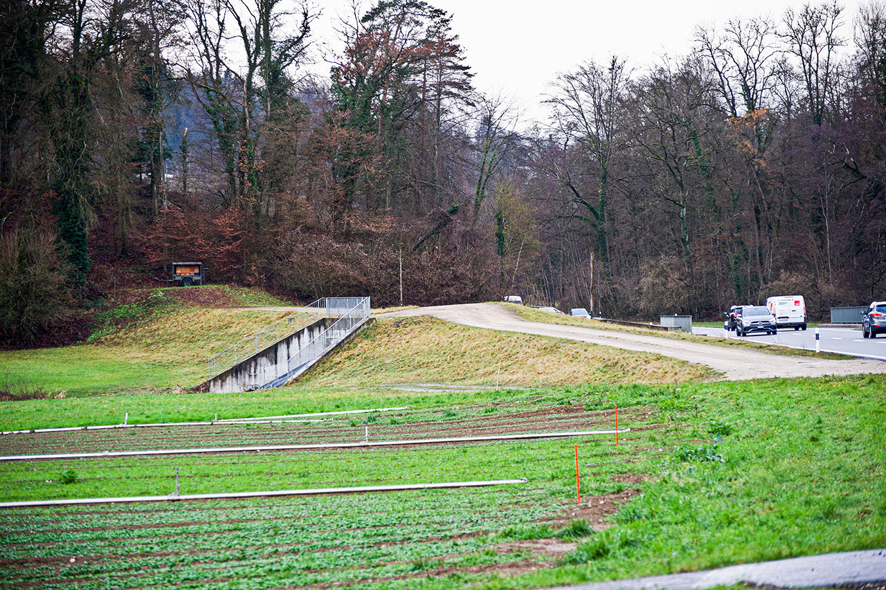 thumbnail: winterhochwasser-hat-stark-zugenommen