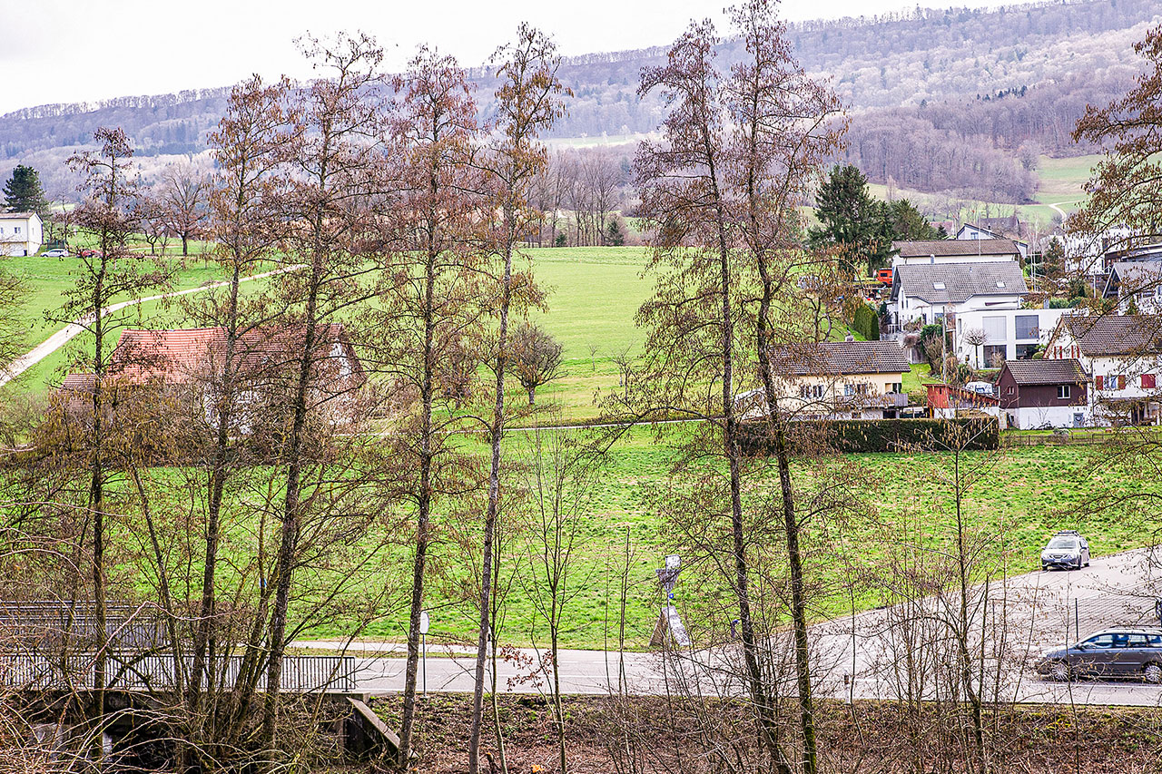 thumbnail: schon-bald-temporaer-hoehere-steuern