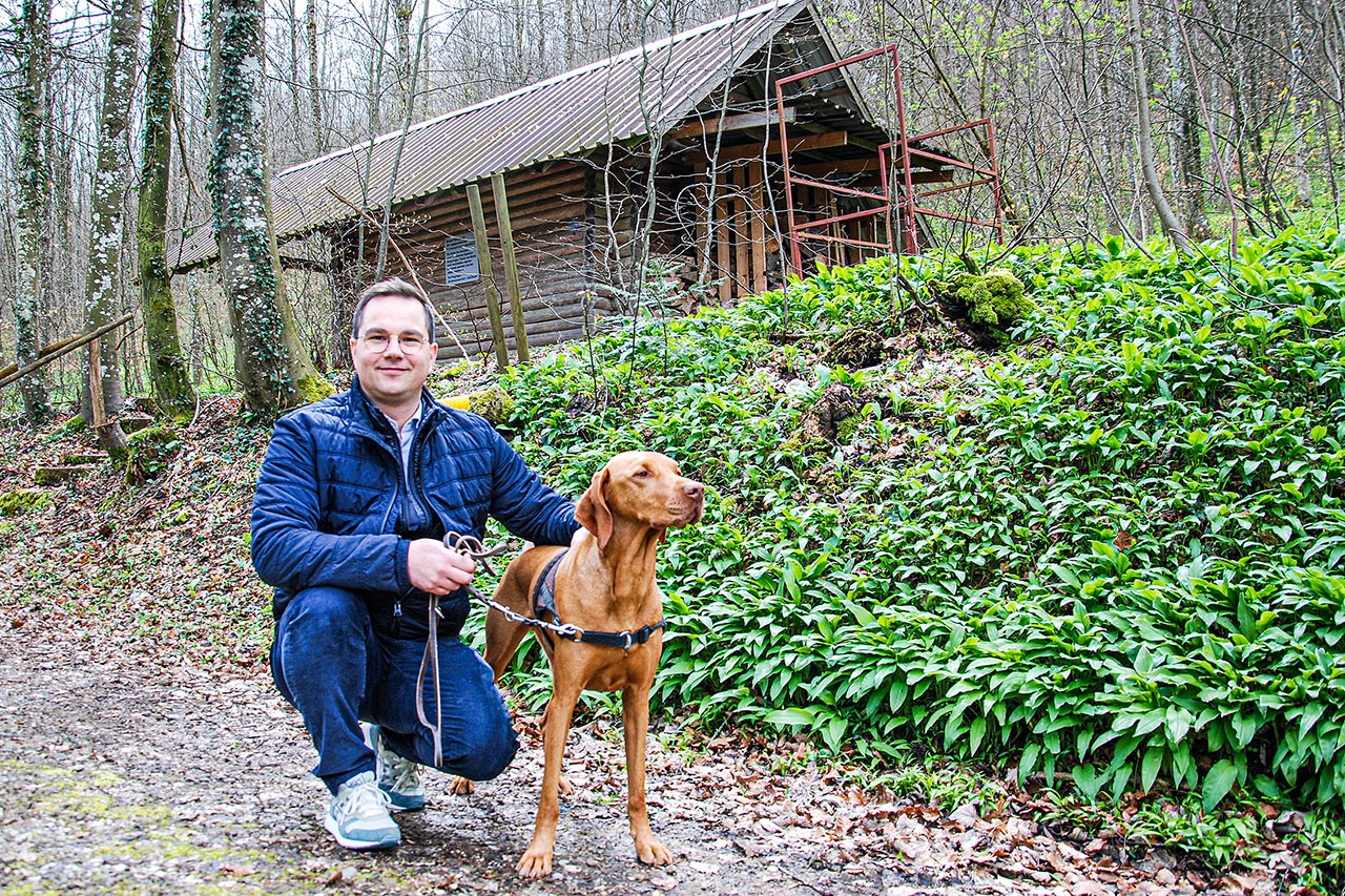 thumbnail: oft-werden-rehkitze-gerissen