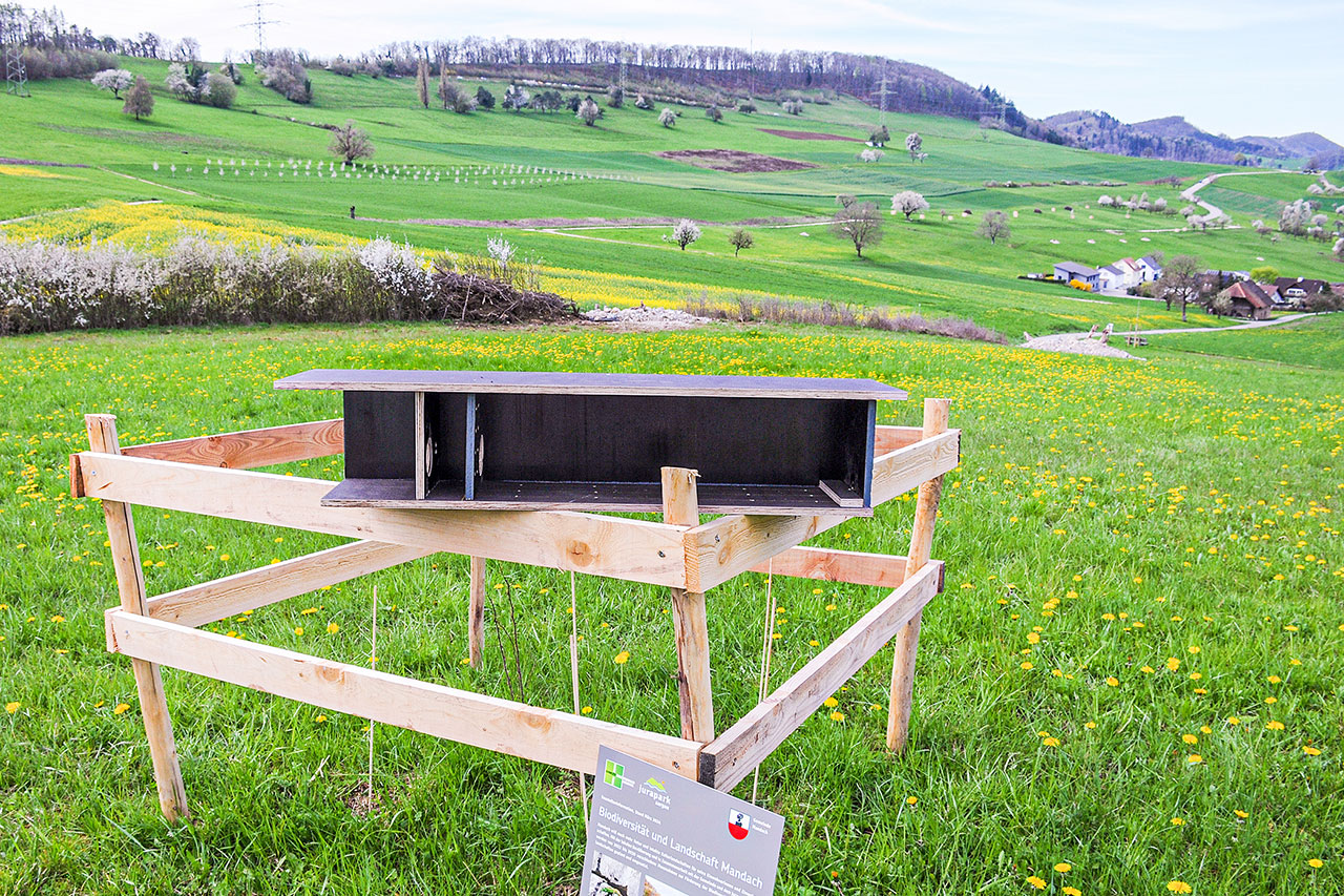 thumbnail: wohnlicher-unterschlupf-fuer-alle