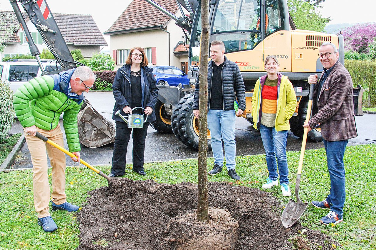 thumbnail: gemeinde-setzt-mit-purpurerle-ein-zeichen