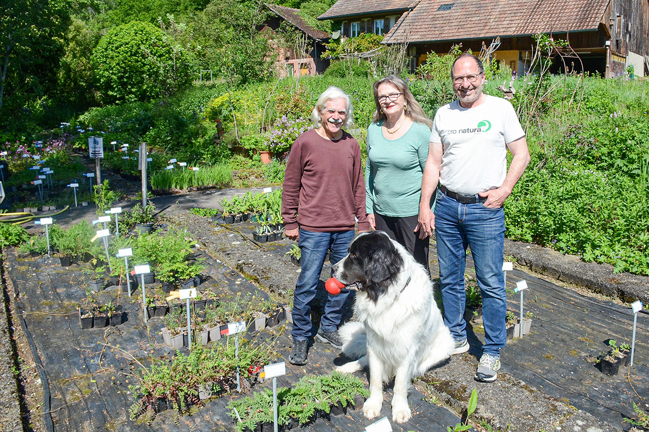 thumbnail: ein-paradies-kommt-in-neue-hand