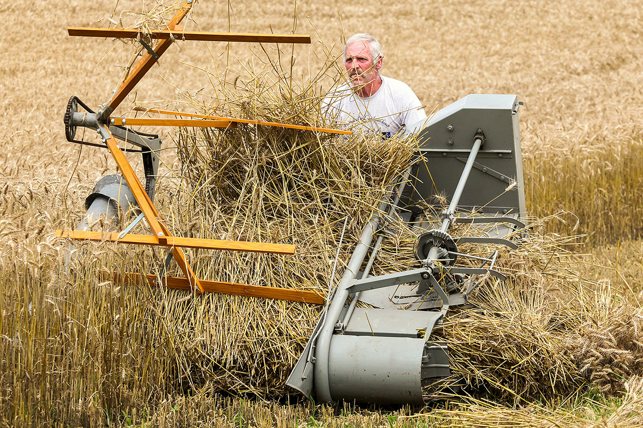 thumbnail: lebendiges-historisches-erbe