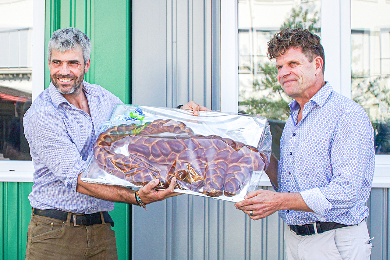 thumbnail: mehrwert-trotz-arealverlust