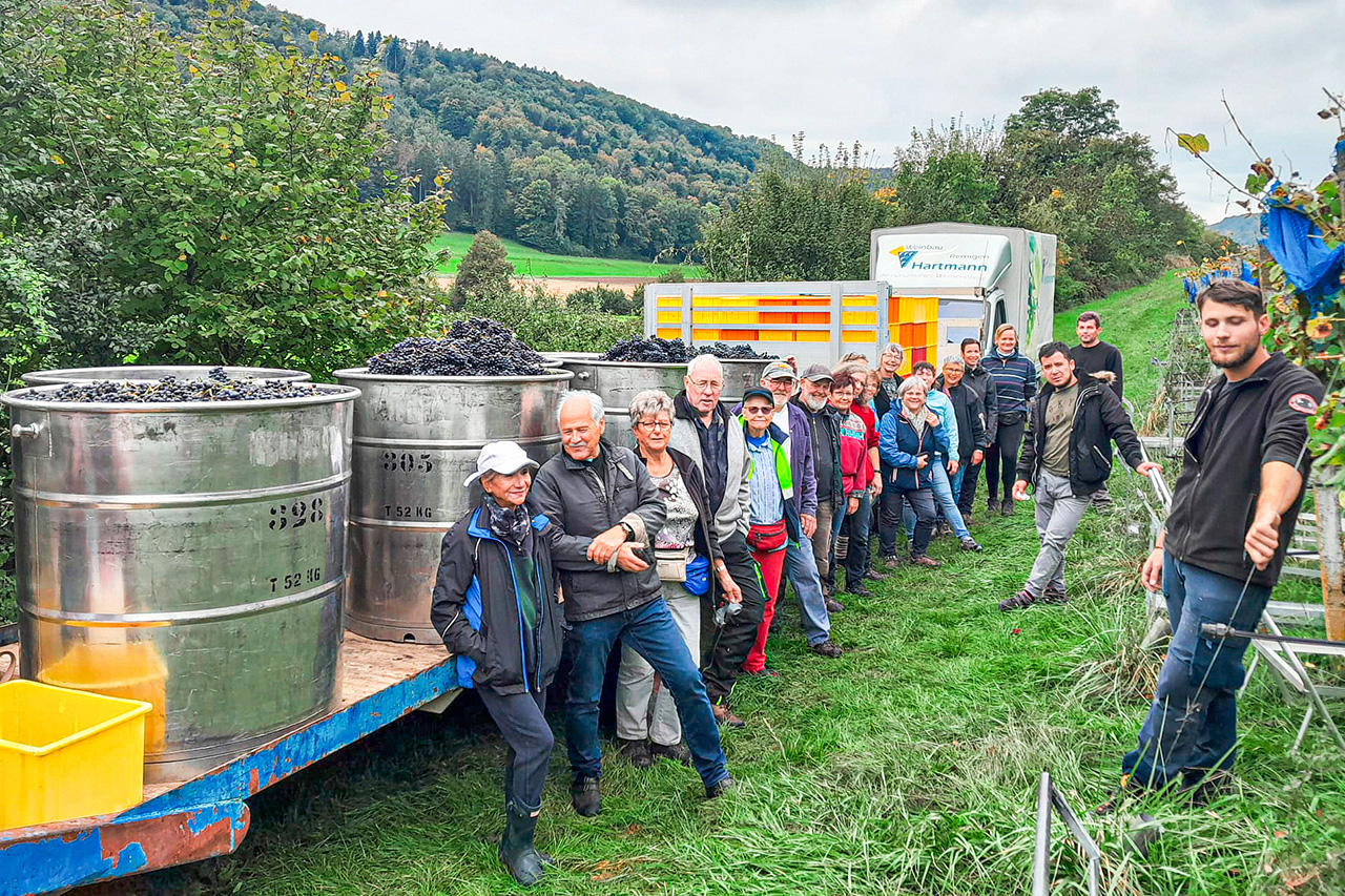 thumbnail: kleinere-ernte-aber-gute-qualitaet