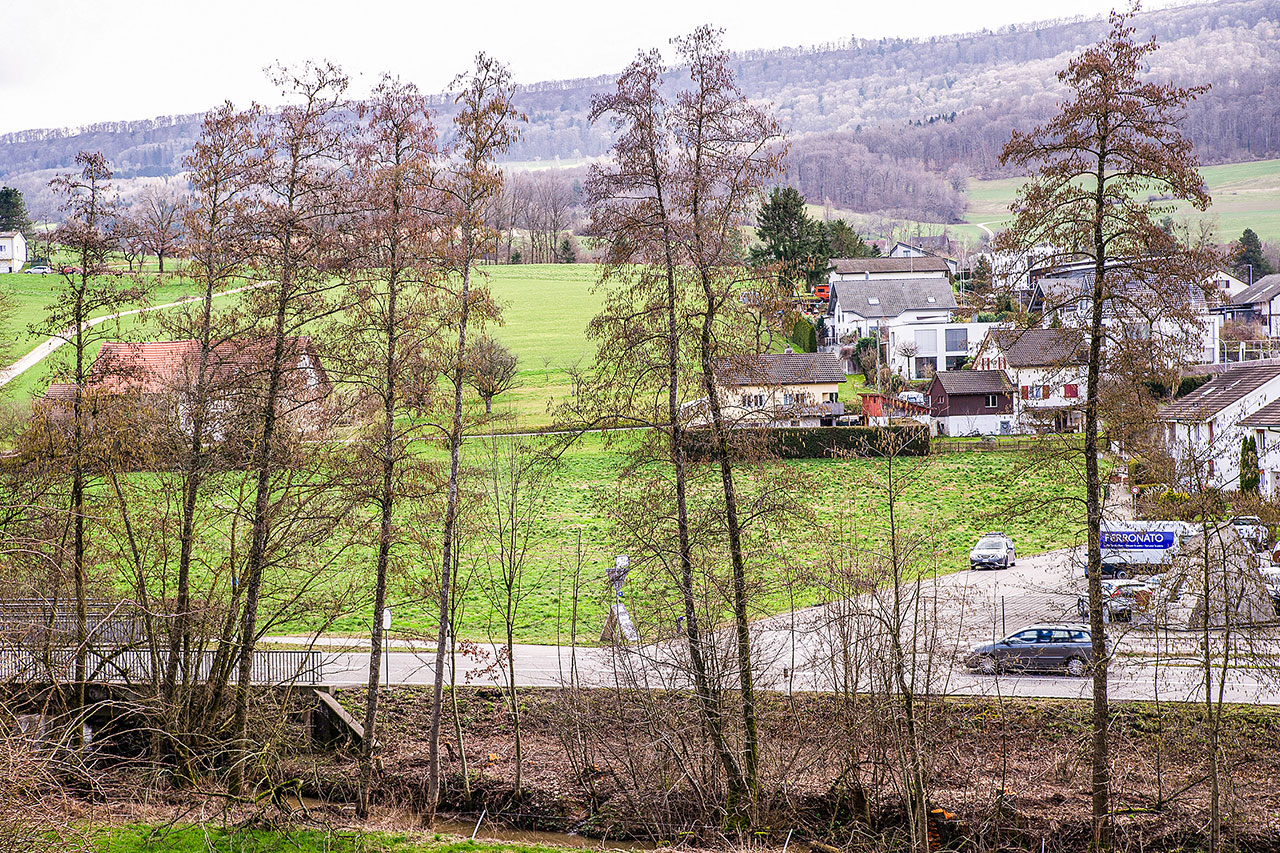 thumbnail: steuerfuss-steigt-auf-113-prozent