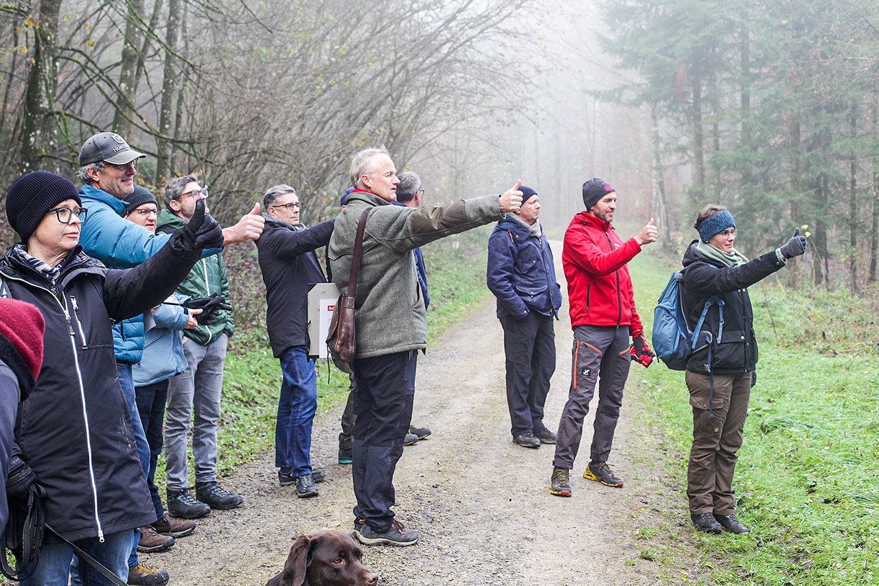 thumbnail: waldgebiete-wachsen-zusammen