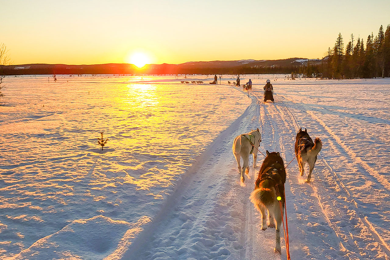 thumbnail: unterwegs-in-schwedisch-lappland