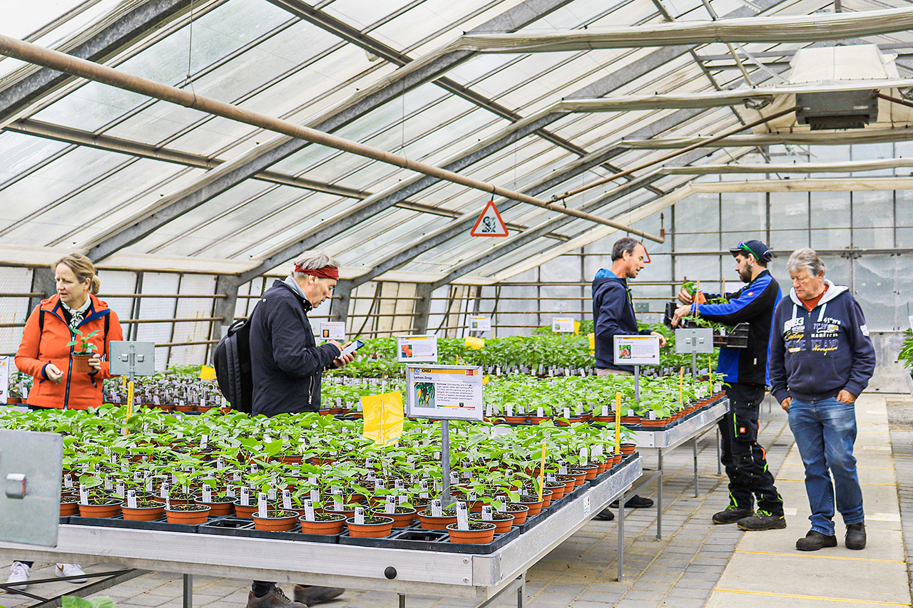 thumbnail: setzlinge-und-blick-in-die-soziale-arbeit