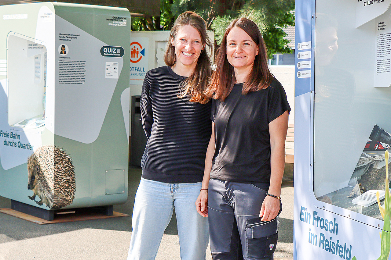 thumbnail: froesche-markt-und-fledermaeuse