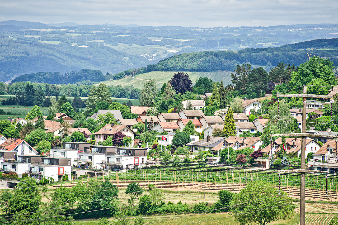 thumbnail: erfahren-was-ein-piwi-oder-ein-terroir-ist