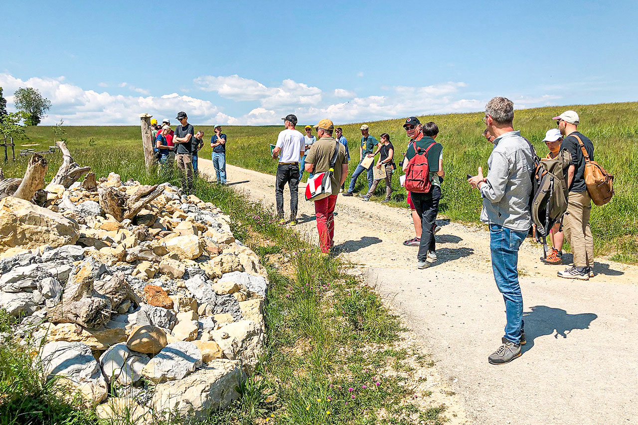 thumbnail: mehr-biodiversitaet-im-visier