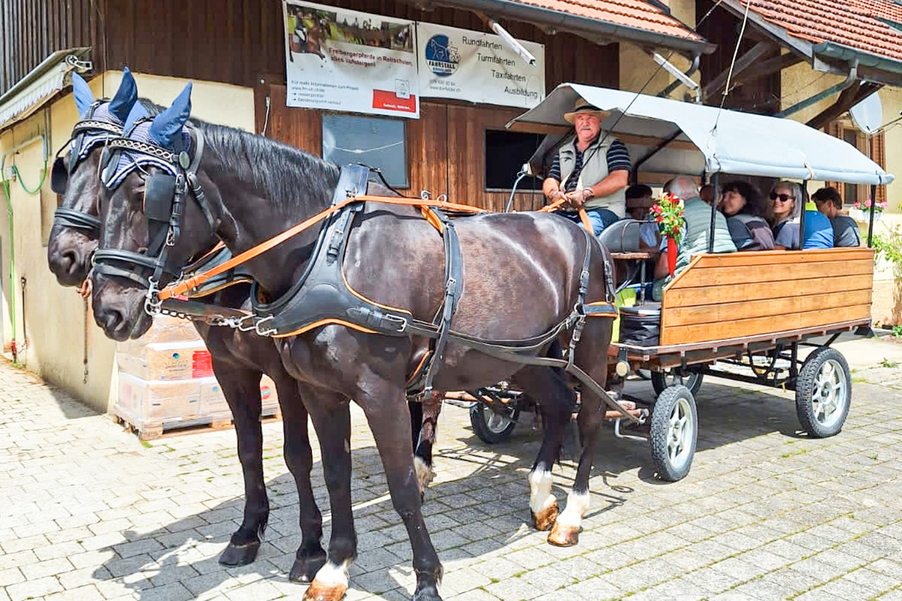 thumbnail: einziger-fahrstall-weit-und-breit