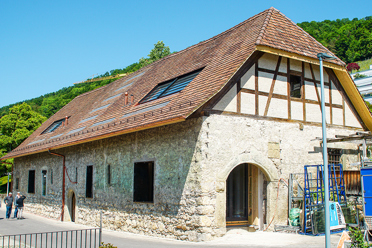 thumbnail: rote-trotte-wie-ein-phoenix-aus-der-asche