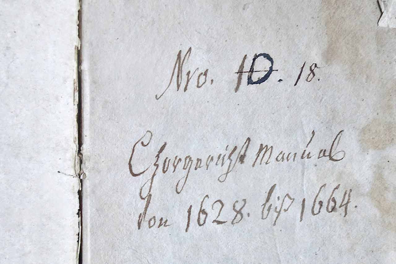 thumbnail: von-kaetzershexen-und-wuesten-hunden