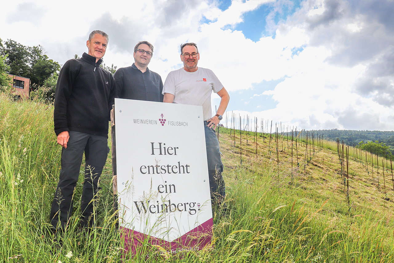 thumbnail: weinbautradition-lebt-wieder-auf