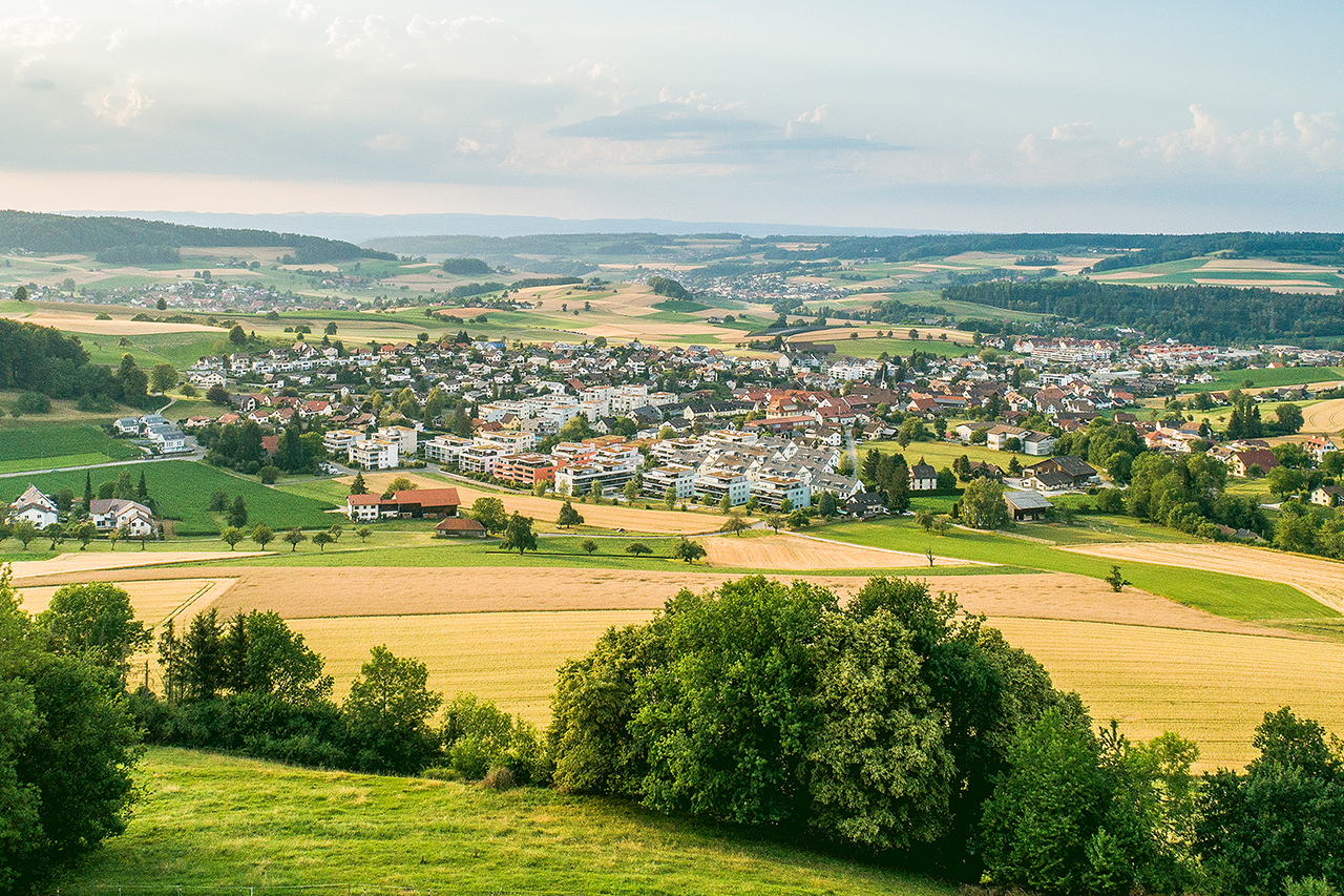 thumbnail: rennen-um-den-ehrendinger-gemeinderat