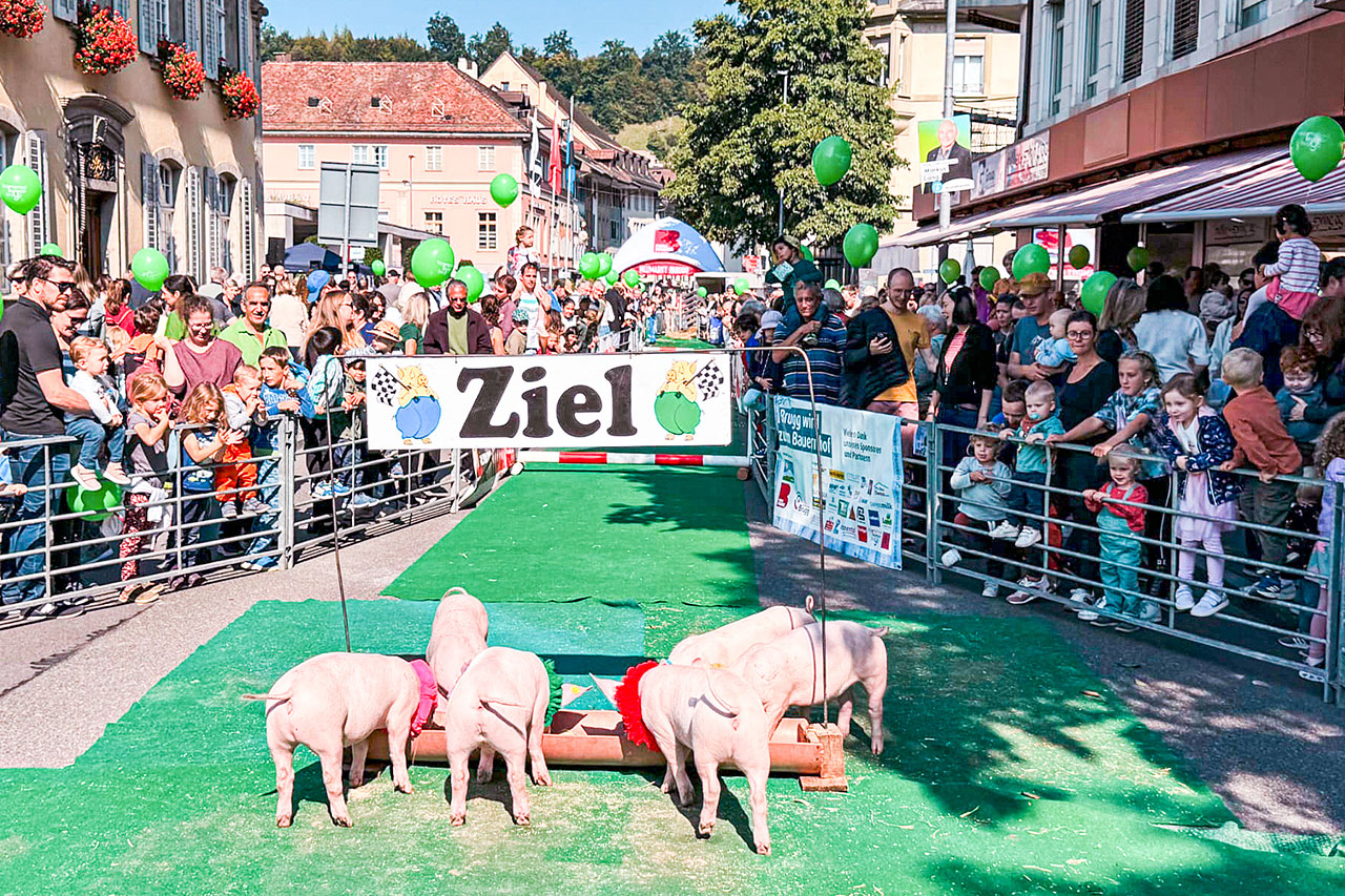 thumbnail: der-bauernhof-kommt-an-die-expo