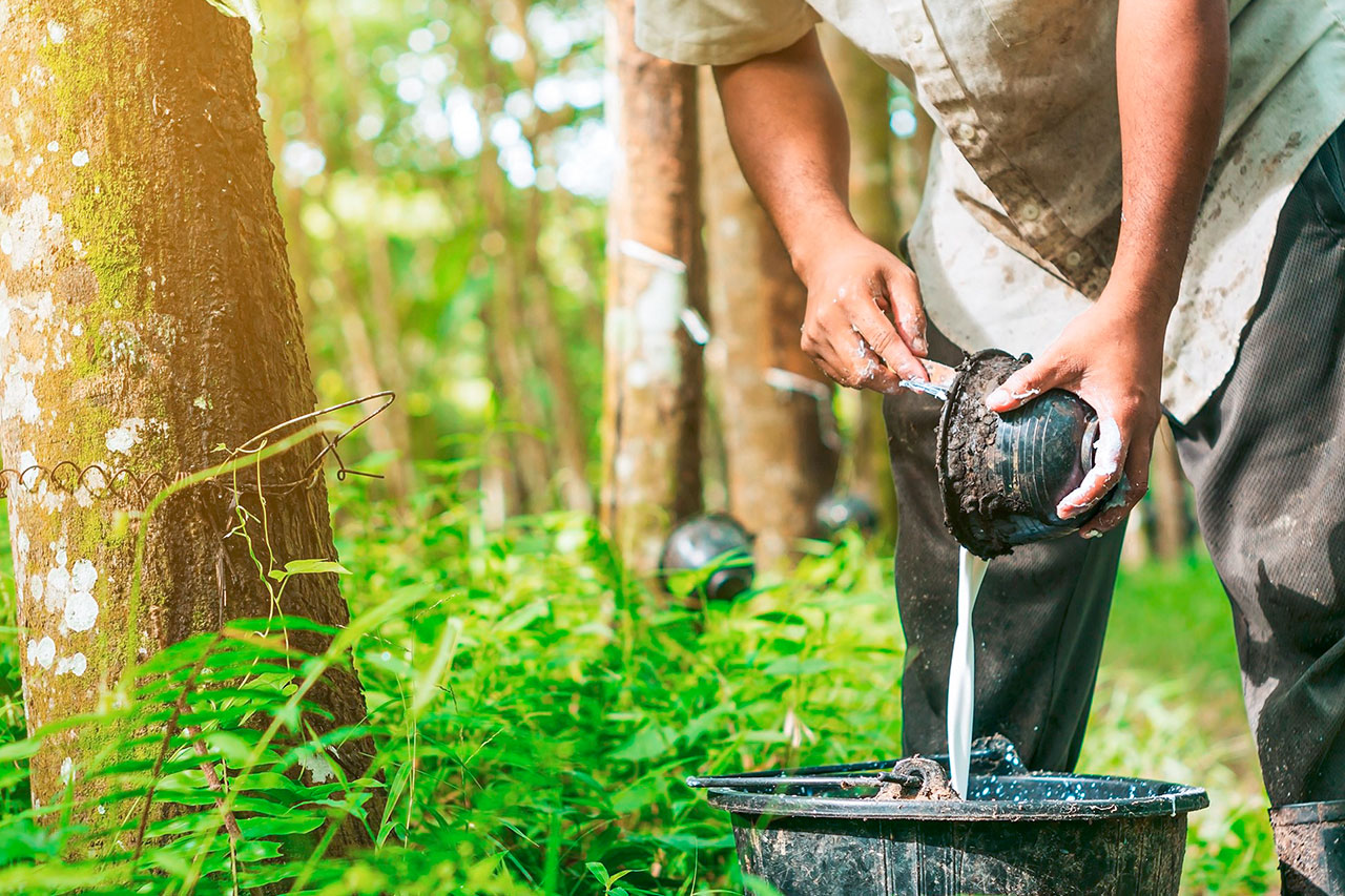 thumbnail: gruene-reifen-gegen-den-schaedlichen-gummiabrieb