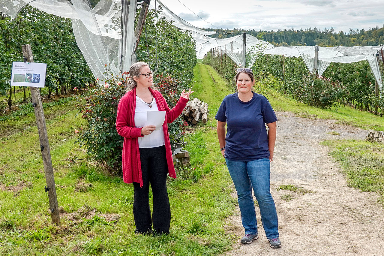 thumbnail: der-wert-der-biene-fuer-die-landwirte