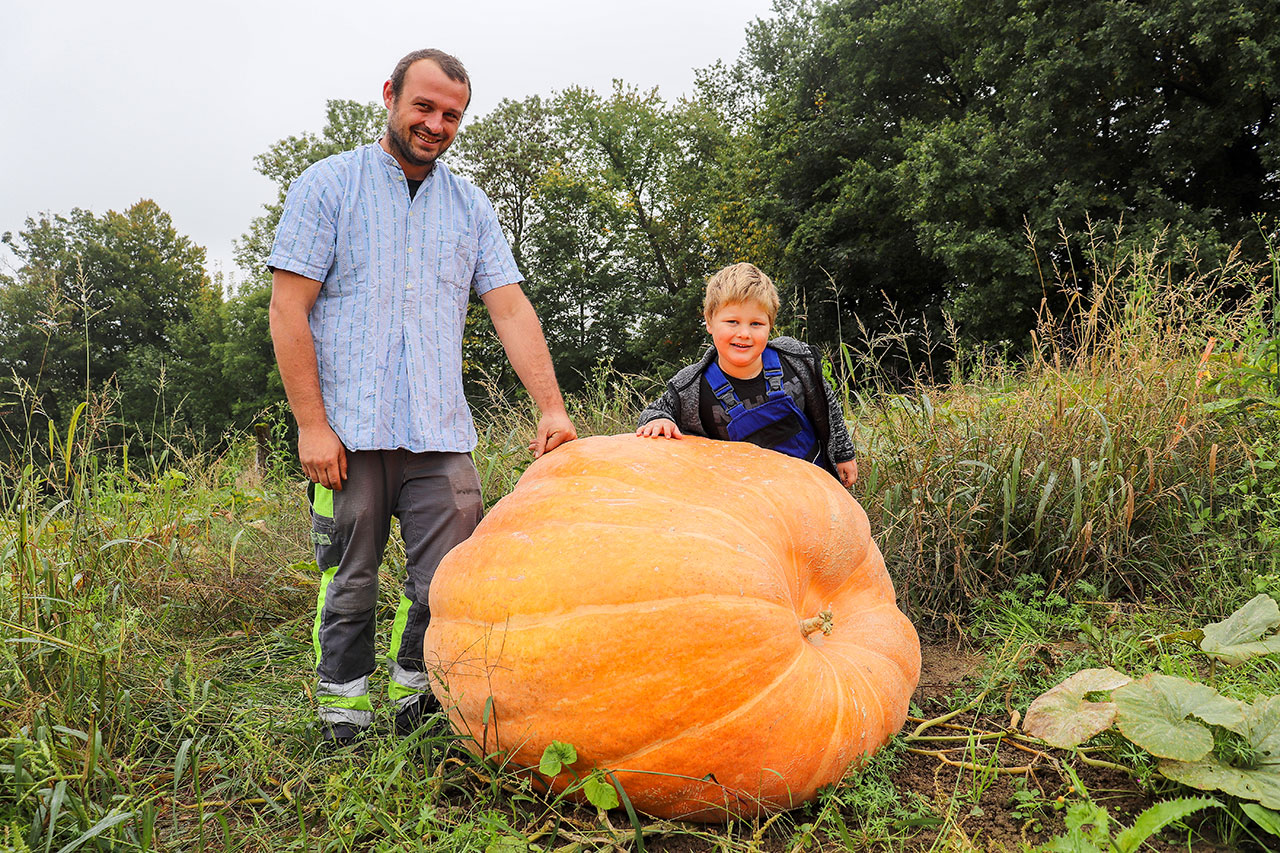thumbnail: wenn-kuerbisse-zu-giganten-werden