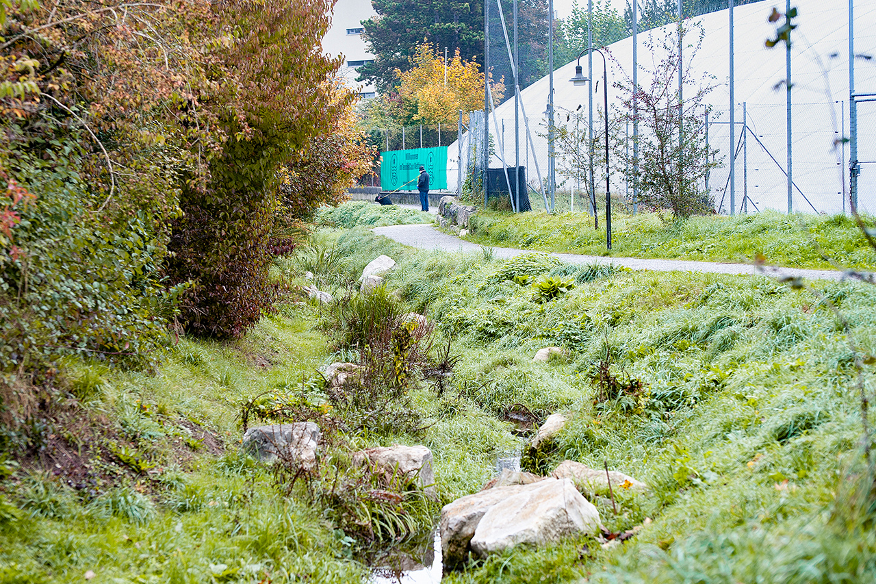 thumbnail: budgetdebatte-wurde-zur-erbsenzaehlerei