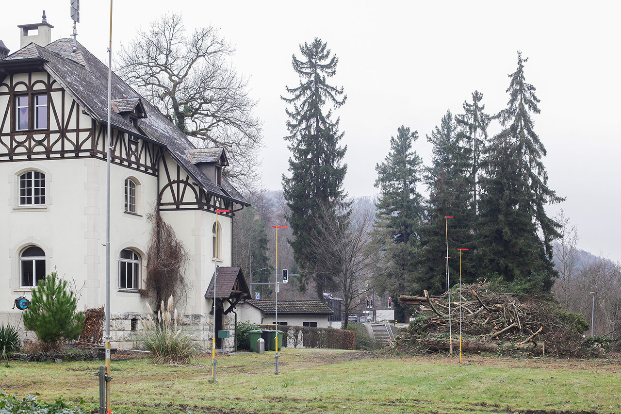 thumbnail: bewilligung-fuer-neue-siedlung