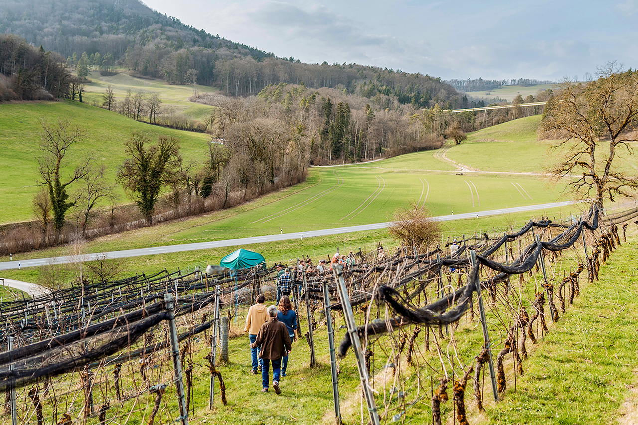 thumbnail: die-wirkung-regenerativer-massnahmen