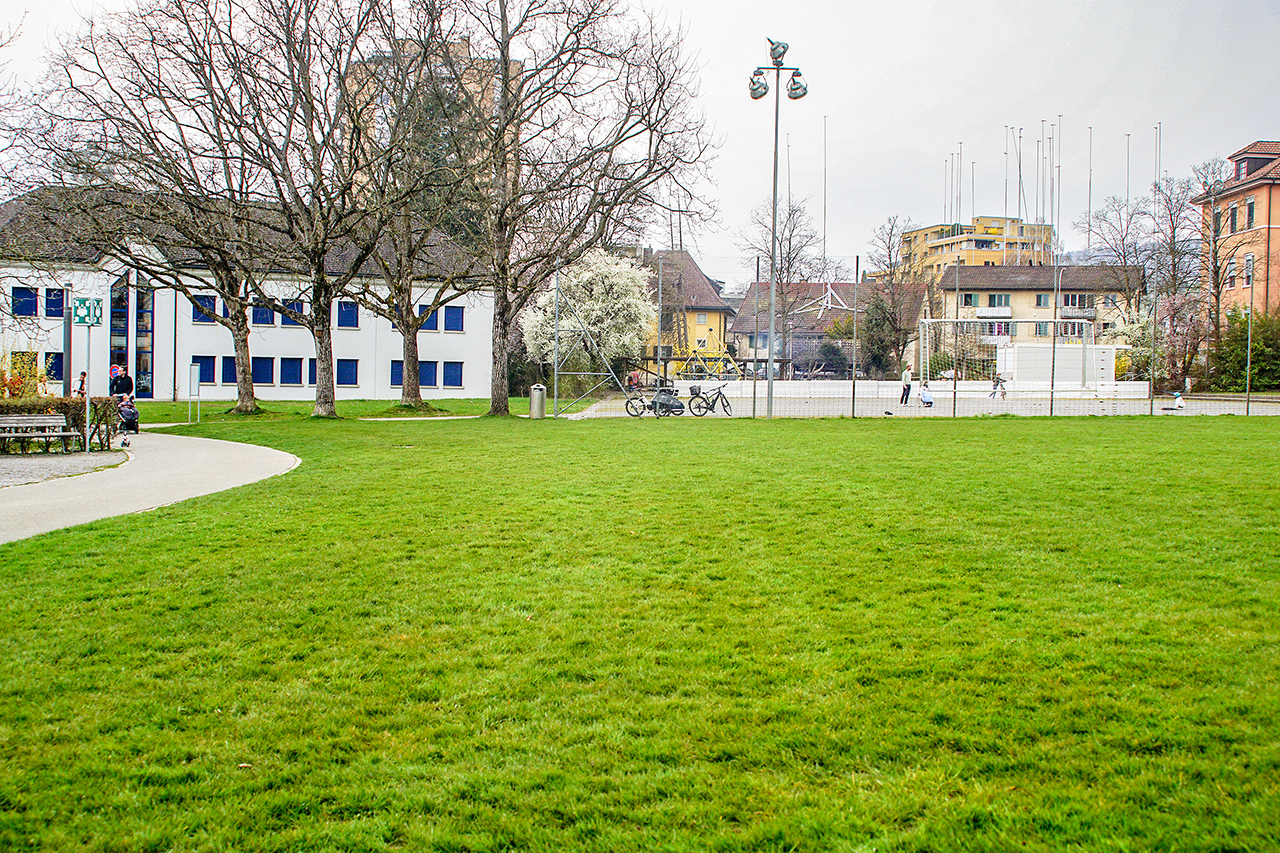 thumbnail: kein-kiesrasen-auf-dem-areal-bachmatt