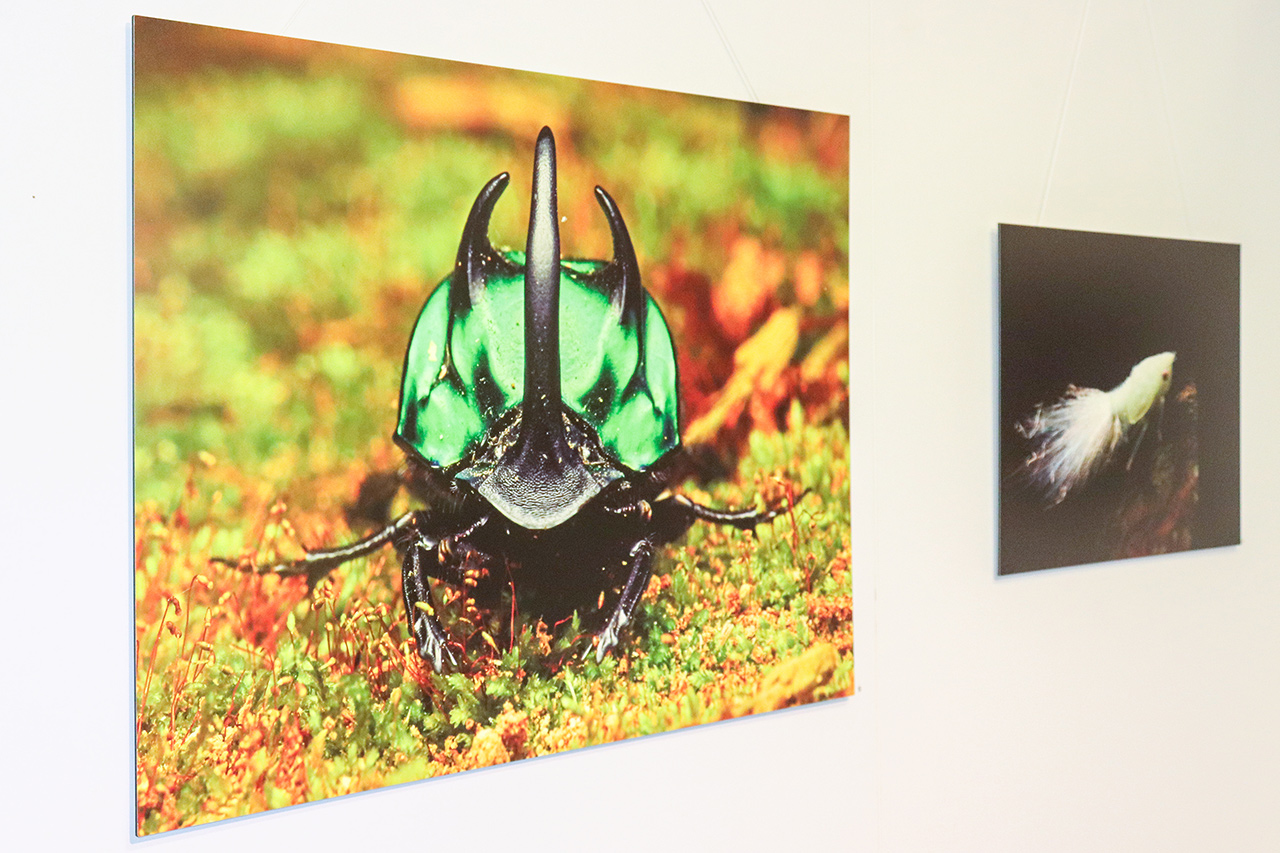 thumbnail: ein-panorama-der-kreativitaet